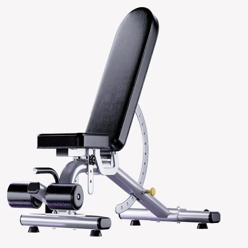 새로운 조절 가능한 다기능 덤벨 벤치 (헬스장, 스튜디 - Adjustable Dumbbells 리뷰 및 가격