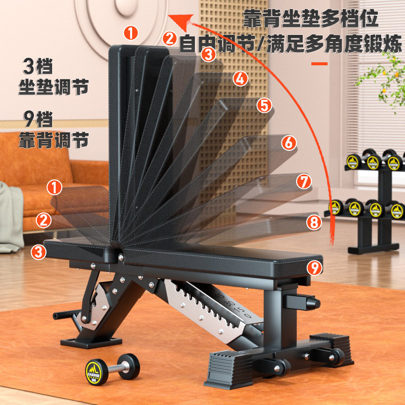 조절 가능한 다기능 덤벨 벤치, 벤치 프레스용 전문 웨 - Adjustable Dumbbells 리뷰 및 가격
